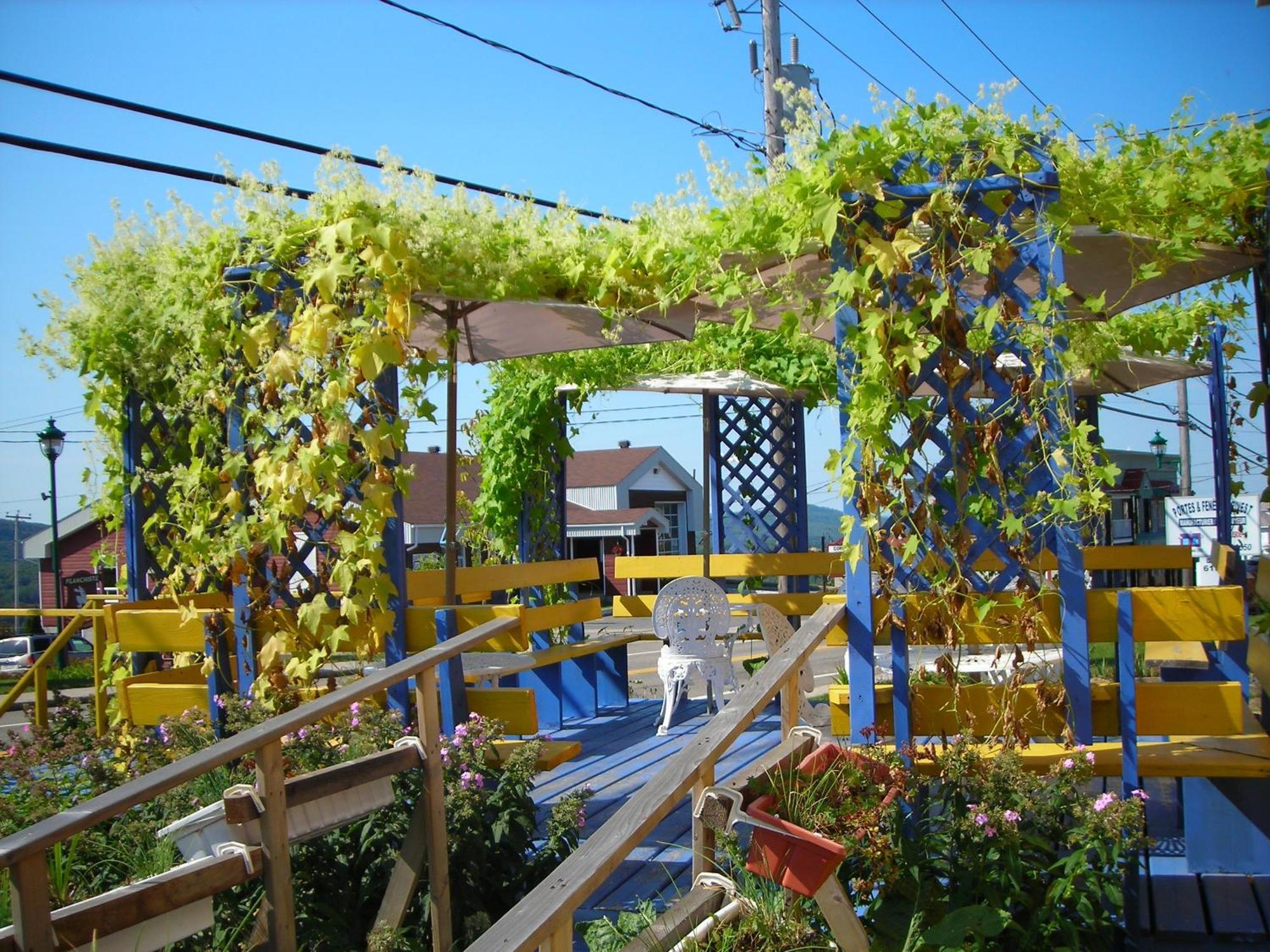 Gite Des Hauteurs Et Cafe De La Place Saint Zenon Ngoại thất bức ảnh